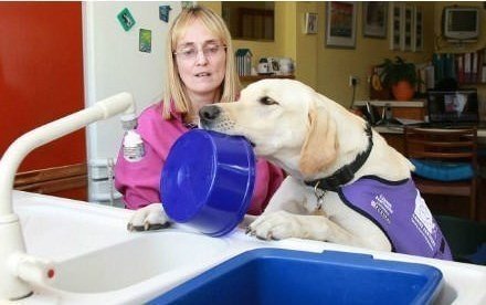 Настоящий друг!