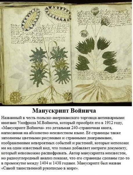 8 неразгаданных загадок мира - 5