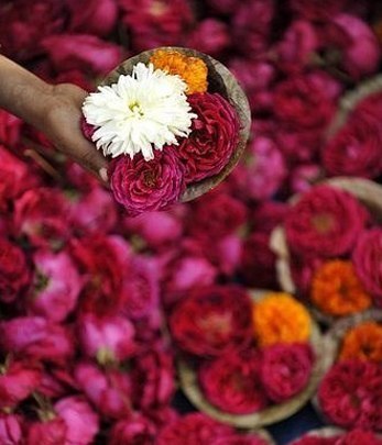 Чарующая Индия - 5