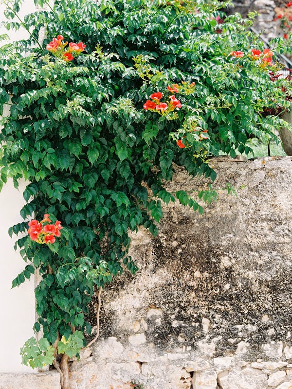 Острів Ітака. Греція - 5