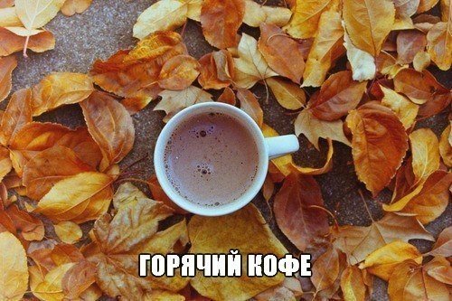 За что я люблю осень