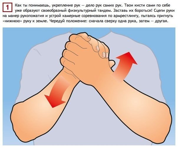 Как натренировать руки, прилагая минимум усилий. Если ты любишь вслед за официальной пропагандой повторять, что стране нужна твердая рука, то почему бы не перейти от причитаний к делу?. Текст: Вероника Ненашева<br>Иллюстрации: Лариса Четверткова. Руки чел