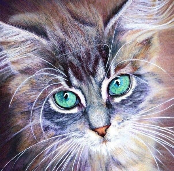 Рисунки цветными карандашами - 5