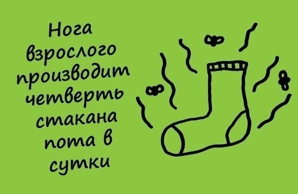 Занимательные факты в картинках - 7