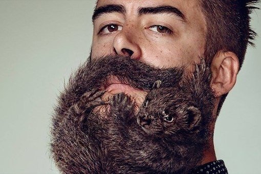 Идея этой необычной рекламной компании заключалась в том, чтобы намекнуть мужчинам, что обрастая бородой, они превращают себя в животное, но увидев её, я твердо решил отпустить бороду
