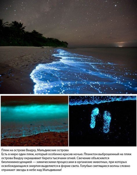 10 самых красивых пляжей, которые стоит посетить - 6