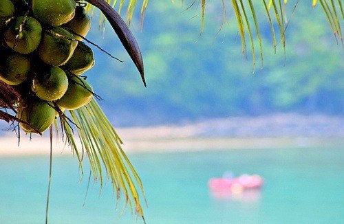 Мальдивы. Как же хочется сбежать туда от из этой сырой и холодной осени. - 8