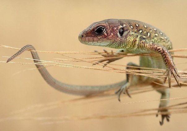 Берегите природу - 6