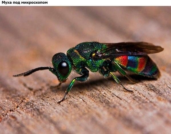 Подборка изображений, которые вас удивят - 6