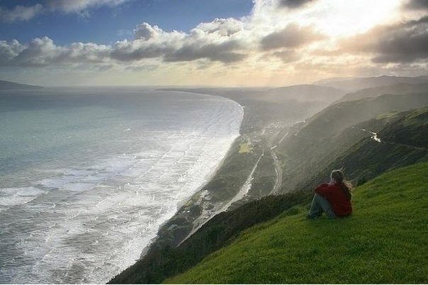 The coast of New Zealand