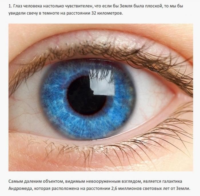 Интересные факты о разном. Часть 1