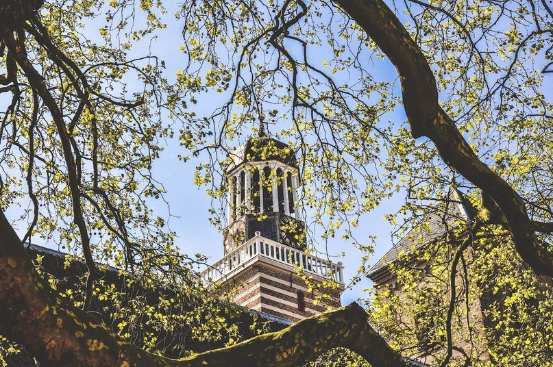 Autumn in Holland - 8