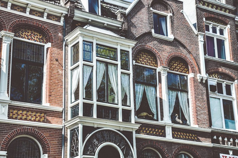 Autumn in Holland - 7