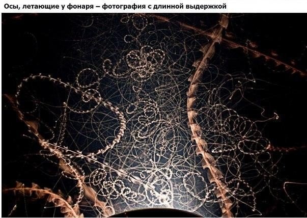 Подборка изображений, которые вас удивят - 2