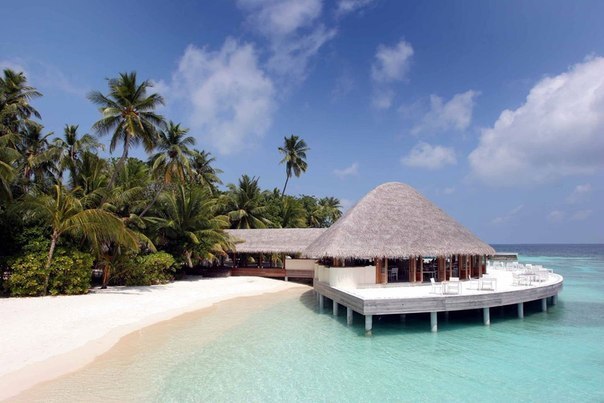 The Maldives. The paradise of our planet - 5