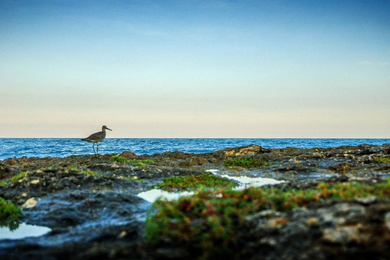 Остров свободы. Куба