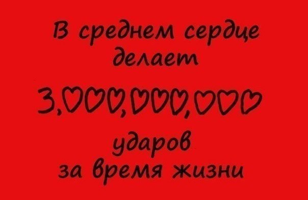 Занимательные факты в картинках - 8