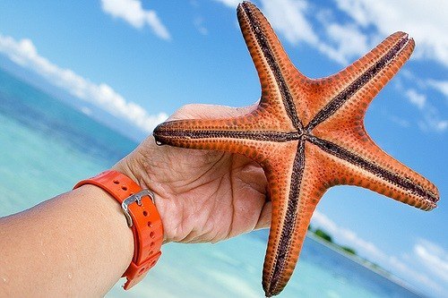 Мальдивы. Как же хочется сбежать туда от из этой сырой и холодной осени. - 6