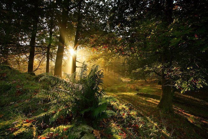 Там, где гулял Чеширский Кот. Графство Чешир, Англия - 9