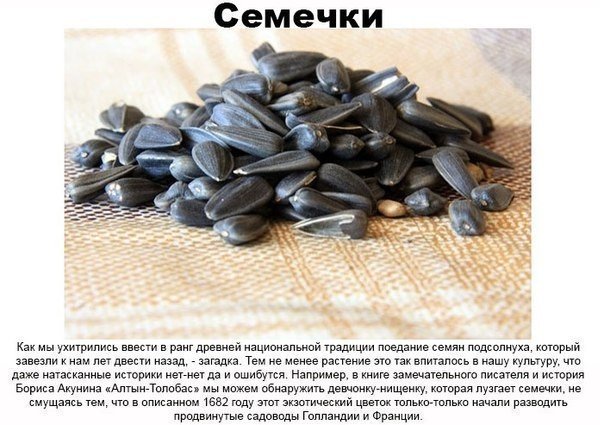 Вещи, которые есть только в постсоветских странах.... Мало кто знает, что веников, березового сока, кедровых орешков и гречки нет больше нигде... А что, семечки и вправду только у нас так массово употребляют? - 7