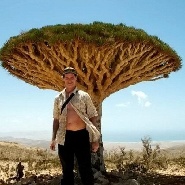 Турист скитался по миру 23 года. 44-летний путешественник, избороздивший весь земной шар и обладающий званием “первый турист, посетивший истерзанный войной Могадишо”, решил, наконец, распаковать свой рюкзак после 23 лет скитаний. Майк Спенсер Боун (Mike S - 5