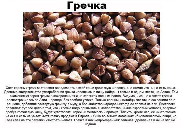 Вещи, которые есть только в постсоветских странах.... Мало кто знает, что веников, березового сока, кедровых орешков и гречки нет больше нигде... А что, семечки и вправду только у нас так массово употребляют? - 9
