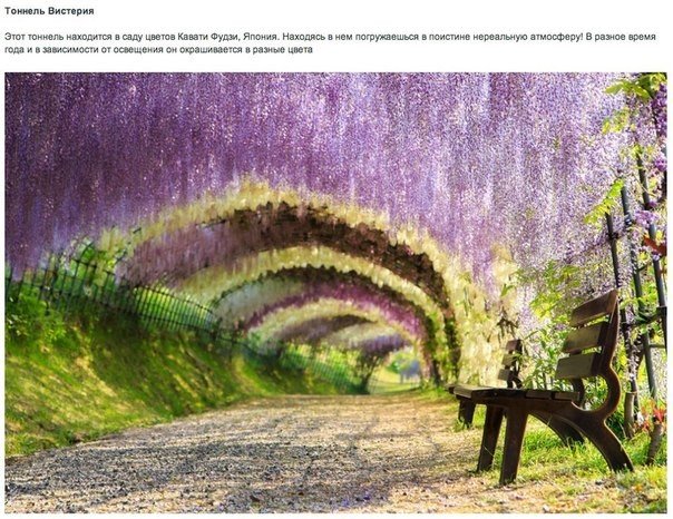 10 реальных мест, которые выглядят, словно вышли из сказок.. Эти места и пейзажи словно вышли из сказок и рассказов нашего детства; в их существование трудно поверить, но они существуют в реальности!