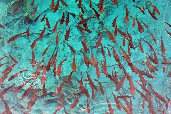 Национальный парк Цзючжайгоу (Китай) - 7