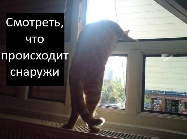 Стоит прочитать - 5