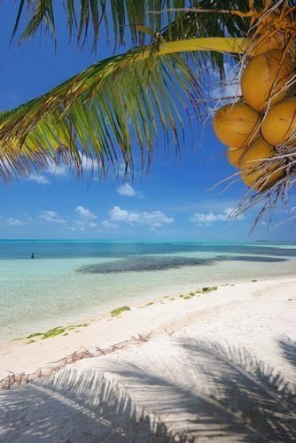 Каймановы острова - 6