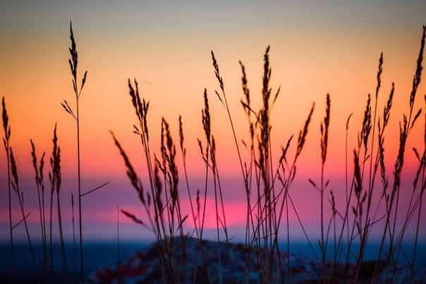 Приголомшливі фарби Криму - 6