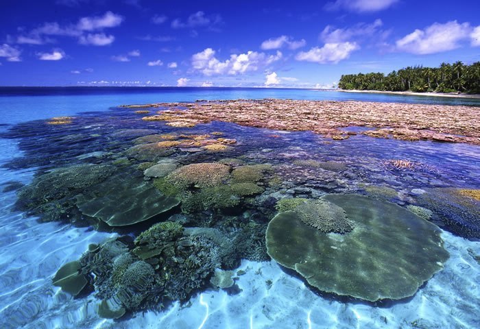 Маршаллові острови - 8