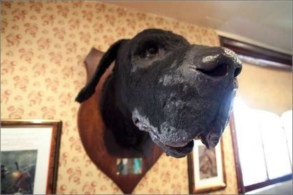 Музей Шерлока Холмса, Лондон, Великобритания - 1