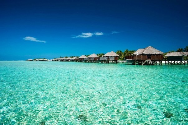 Мальдивы. One Love - 7