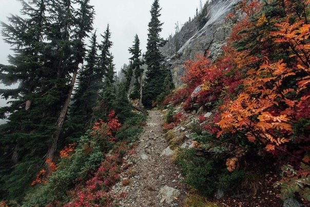 Пейзажі фотографа Гріффіна Лемба