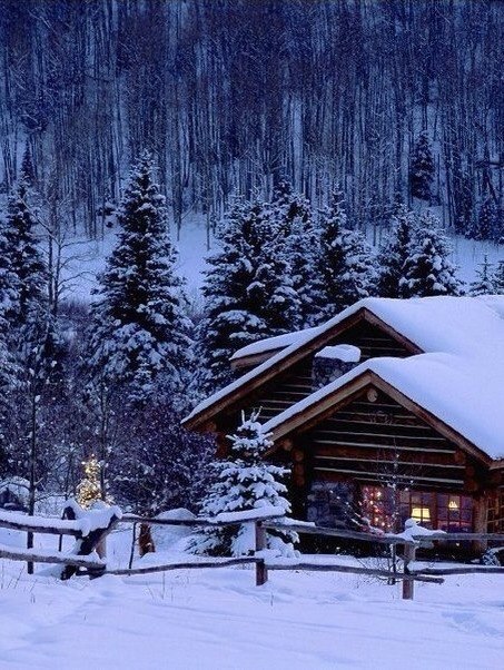 Evening at the foot of the Alpine mountains - 5