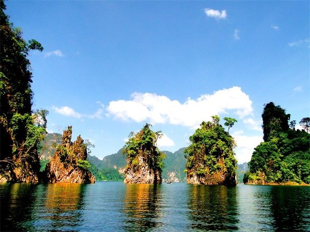 Національний парк Кхао Сік, Таїланд - 5