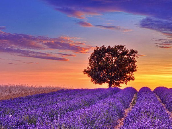 Provence, France - 5