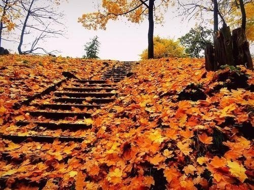 Осінь в Празі, Чехія - 5