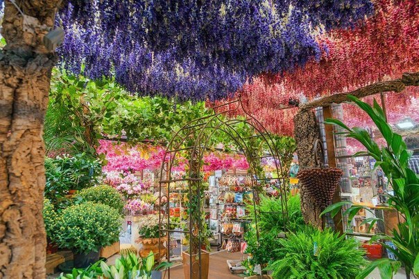 Амстердам, Нидерланды - 5