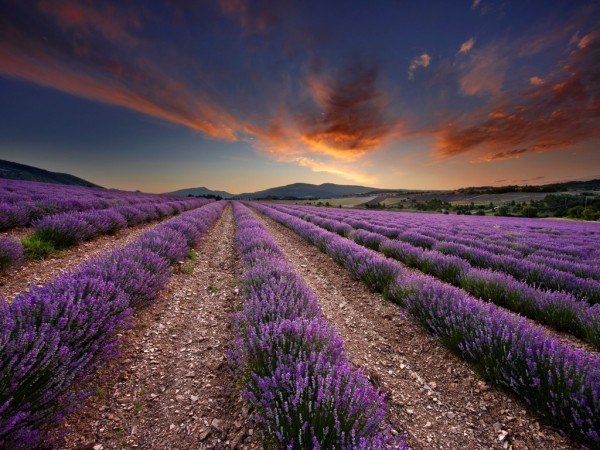 Provence, France - 7