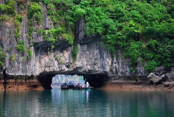 Вьетнам, бухта Халонг - 5