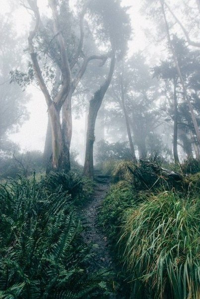 Пейзажі фотографа Гріффіна Лемба - 5