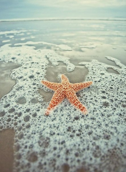 Шматочок моря.