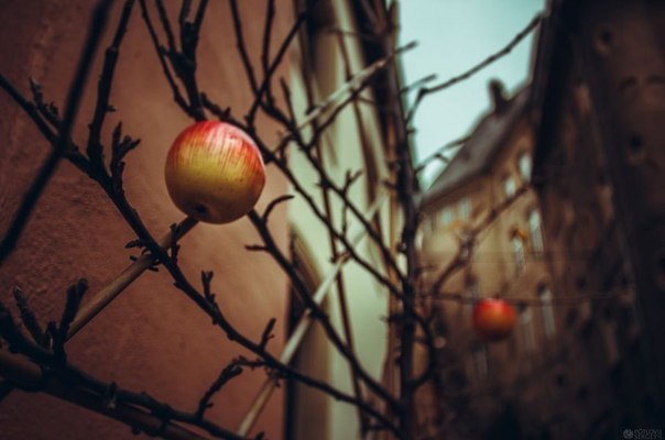 Вантажні магазинчики Парижа - 8