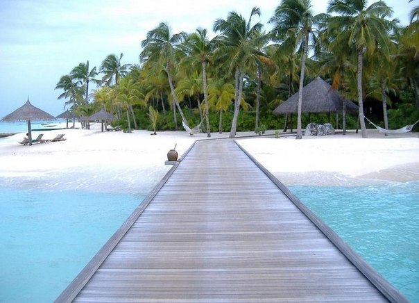 Мальдивы. One Love - 8