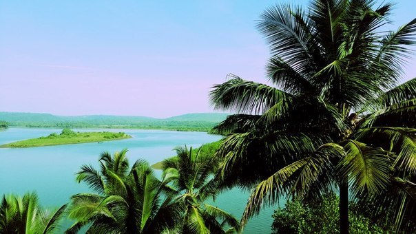 India. Goa - 8