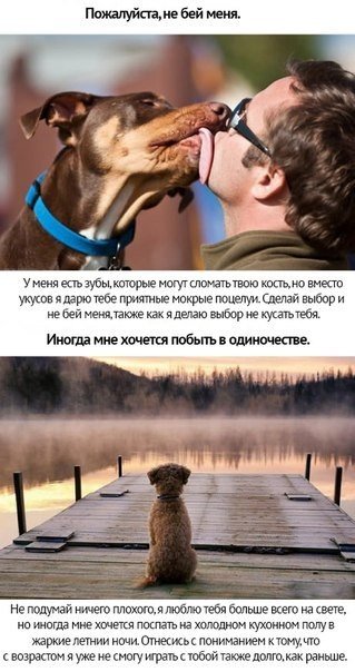 Любите своих животных - 6