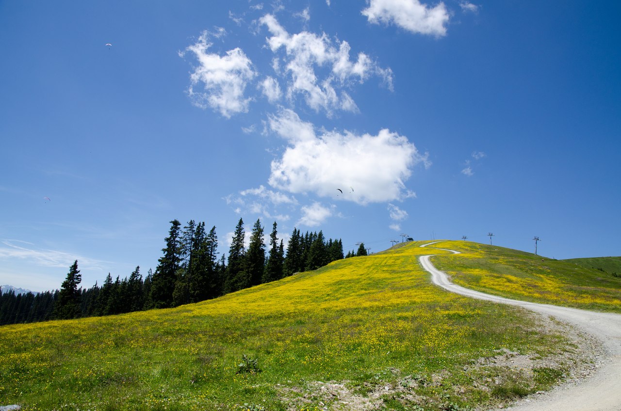 Австрия. Зальцбургерланд - 9