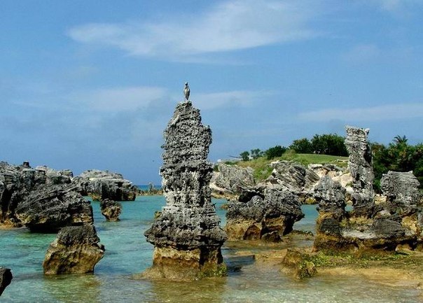 Бермудські острови - 8